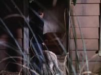 Click to watch 'Survival Times Two' (popup) Longstreet